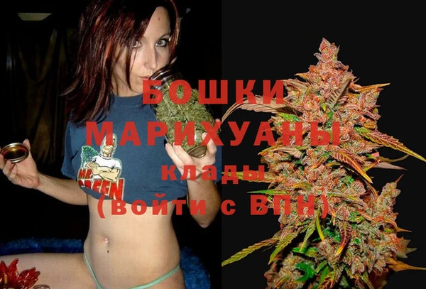 МДПВ Армянск