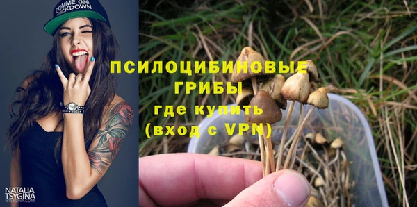 МДПВ Армянск