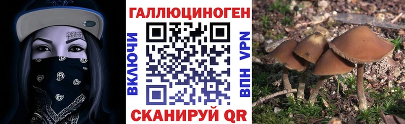 Галлюциногенные грибы Psilocybine cubensis  где купить наркоту  Палласовка 